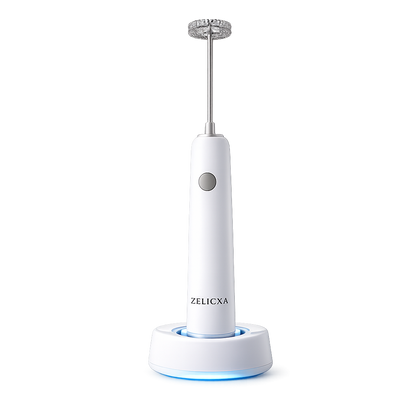 Fouet Rechargeable